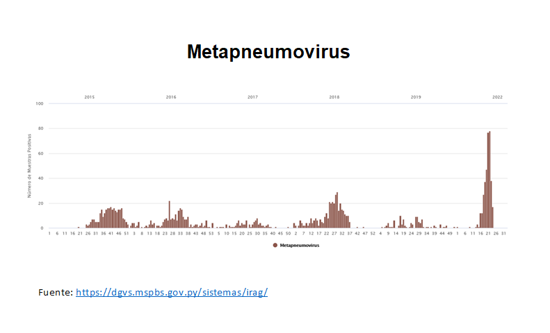 Incrementan las infecciones respiratorias por Metapneumovirus