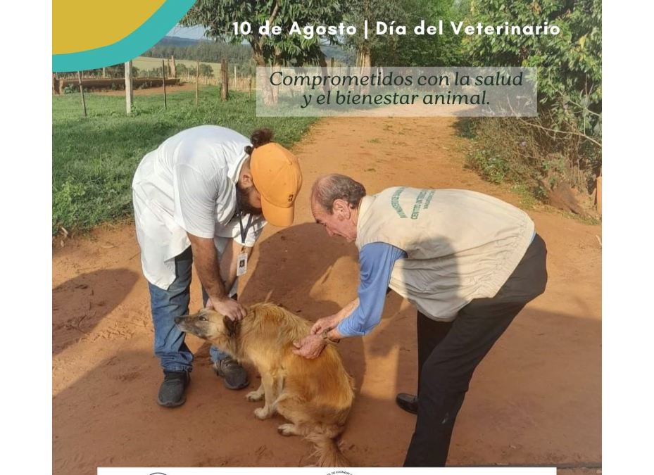 Día del veterinario: comprometidos con la salud y el bienestar animal