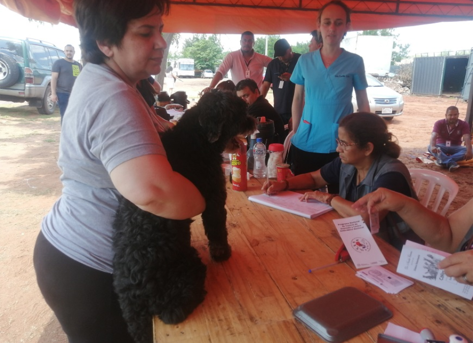 Unas 300 mascotas vacunadas contra la rabia y más de 330 desparasitadas