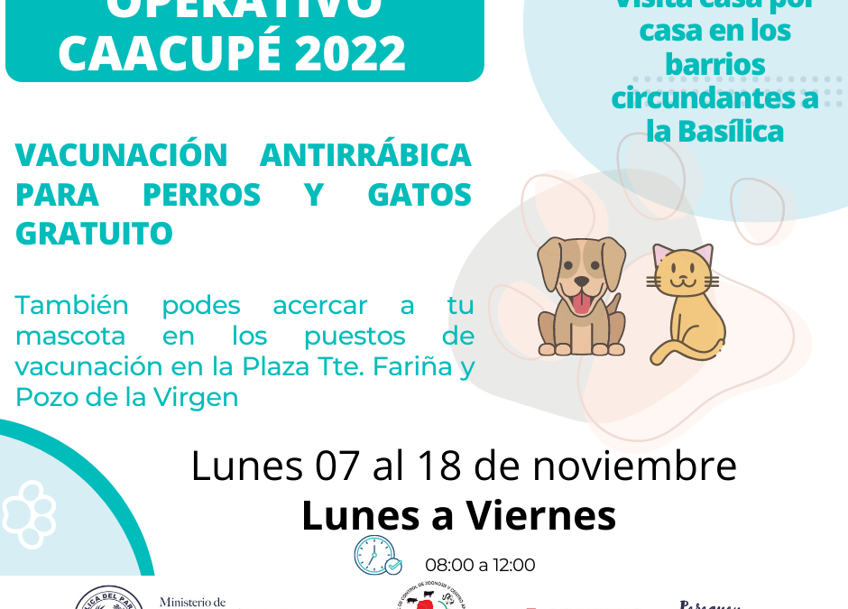 Inicia vacunación antirrábica para perros y gatos, en Caacupé