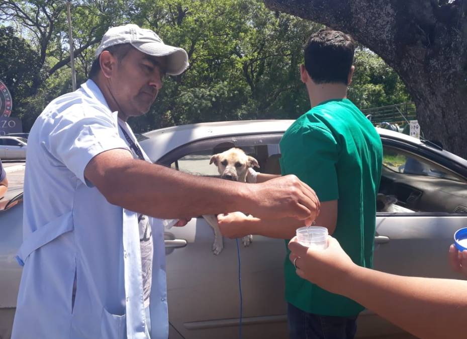 AutoCan: Más de 500 mascotas vacunadas y desparasitadas