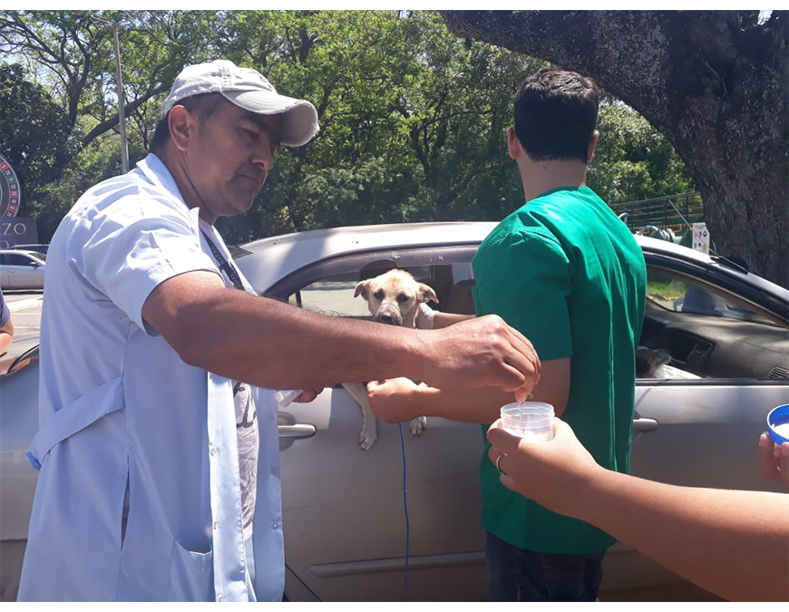AutoCan: Más de 500 mascotas vacunadas y desparasitadas