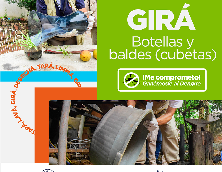 Dengue y chikungunya con números similares de casos