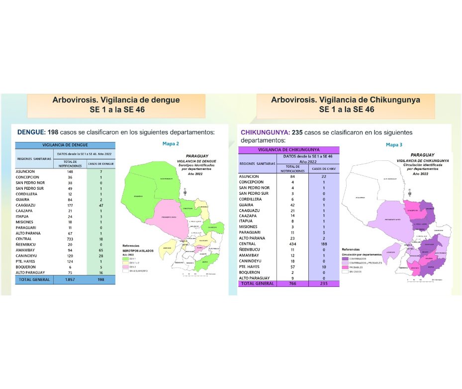 Veintiséis casos de chikungunya y uno de dengue esta semana – 28-11-2022 – 1