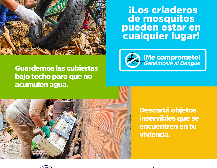 «Estamos viendo muchos casos de chikungunya»