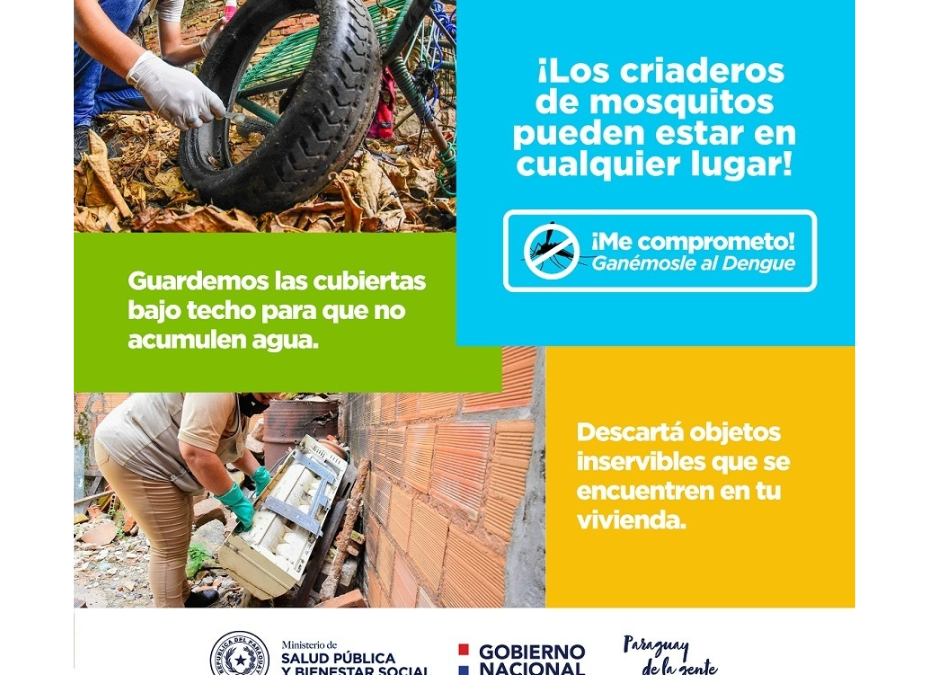 Para hacer frente a las arbovirosis debemos atacar el problema de raíz: los criaderos de mosquitos