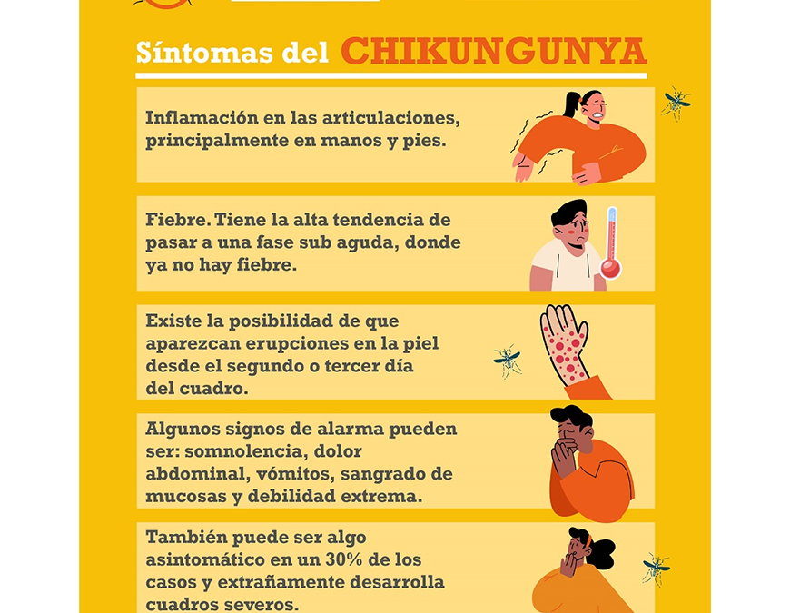 Chikungunya: Dolores articulares pueden persistir aún después de haber pasado la enfermedad