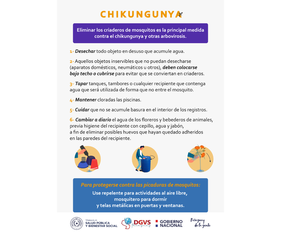 Eliminar los criaderos de mosquitos, principal estrategia contra el chikungunya – 14-02-2023 – 1
