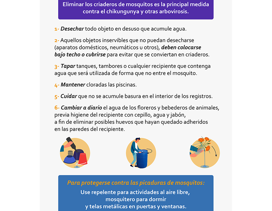 Eliminar los criaderos de mosquitos, principal estrategia contra el chikungunya