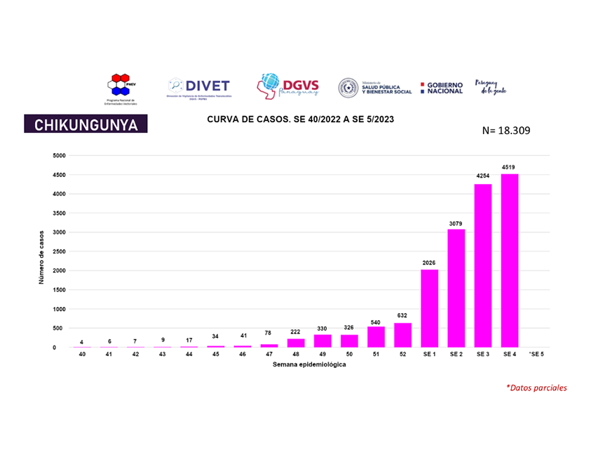 Epidemia de chikungunya aumenta: cerca de 11 mil afectados en las últimas tres semanas