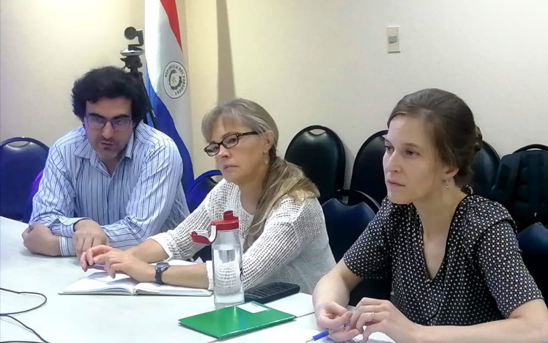 Paraguay experimenta su epidemia más grande de chikungunya y es una de las mayores registrada en Sudamérica