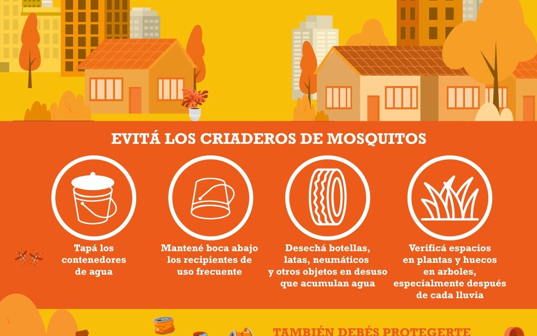 Este fin de semana, aprovechá y eliminá los criaderos de mosquitos