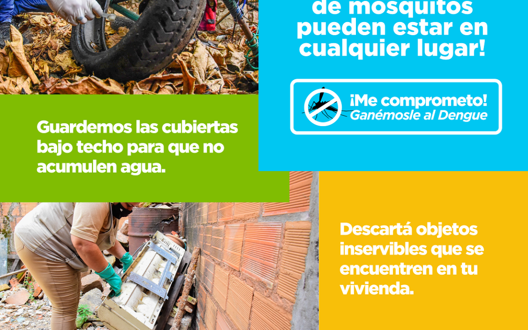 Para hacer frente a las arbovirosis debemos atacar el problema de raíz: los criaderos