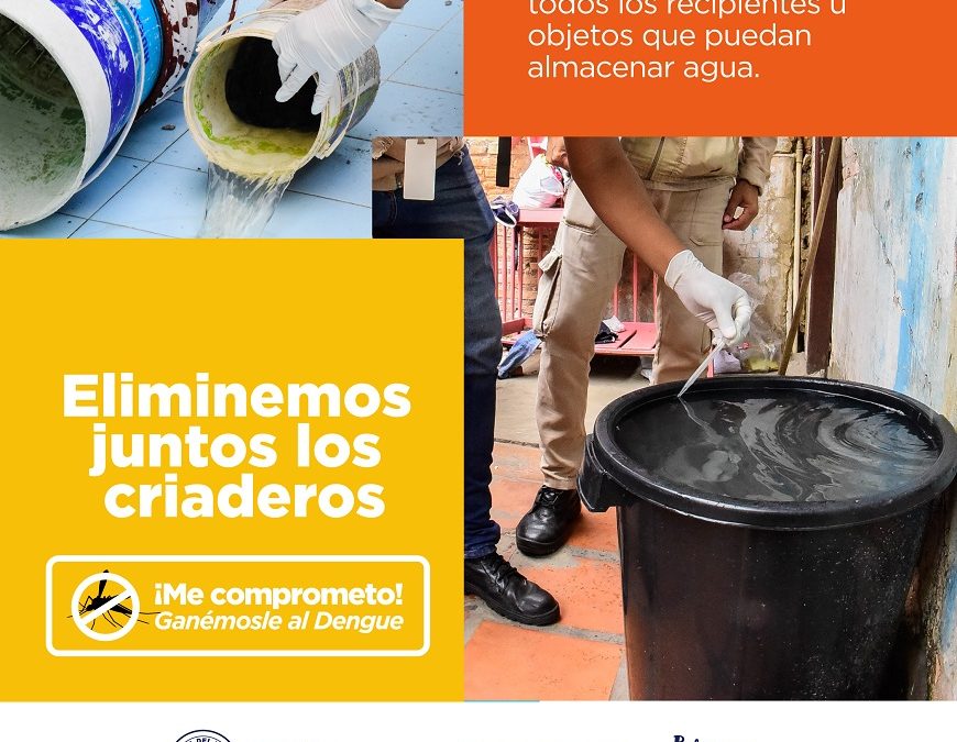 Chikungunya: cantidad de afectados supera los 1.300 en solo tres semanas