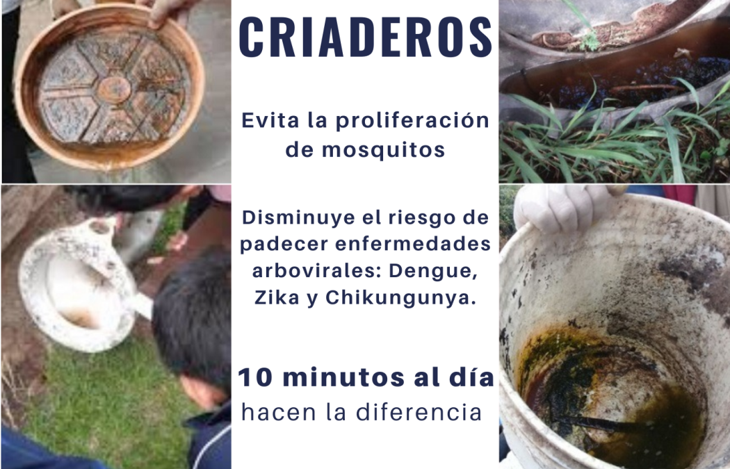 Central y Capital, epicentro de chikungunya