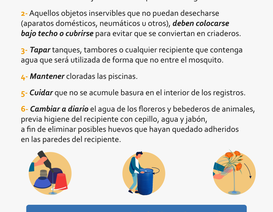 Eliminar los criaderos de mosquitos, principal estrategia contra el chikungunya