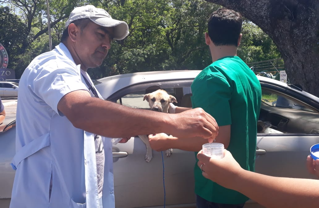 AutoCan: Más de 500 mascotas vacunadas y desparasitadas
