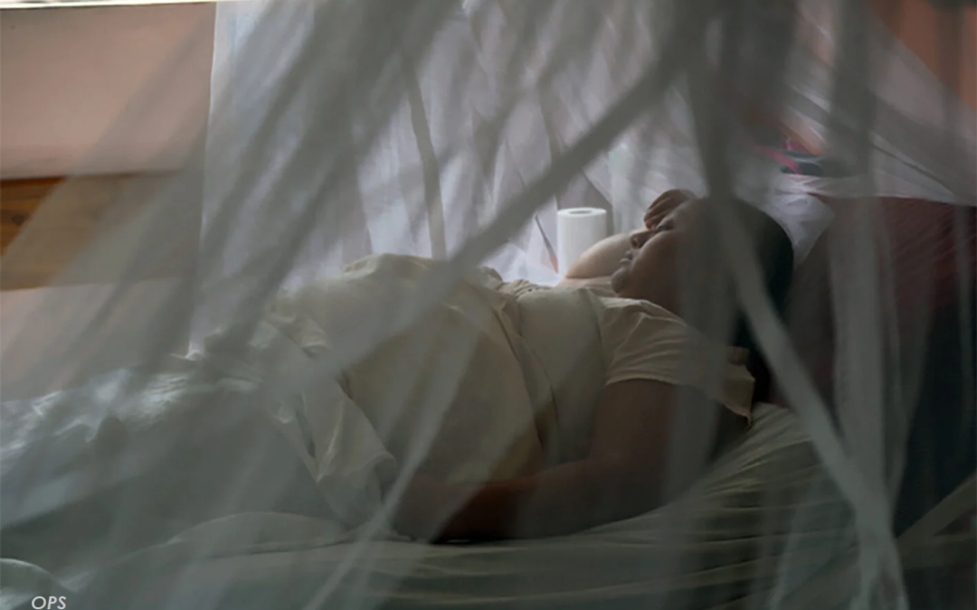 Reposo por chikungunya no requiere prueba de RT-PCR