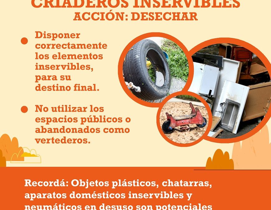 Arbovirosis están en descenso, pero aún se registra inusual número de casos para esta época del año