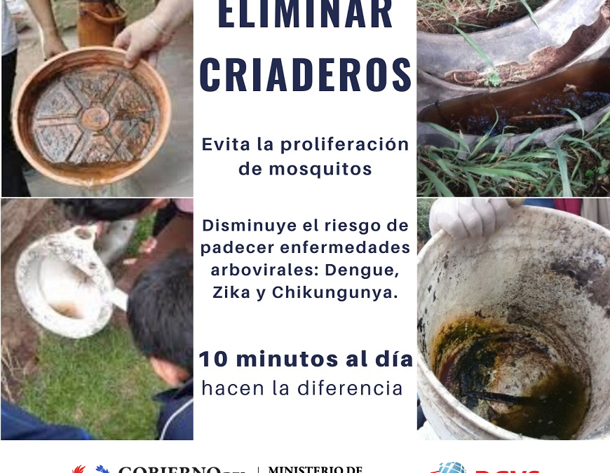 Dengue: “Vemos incremento, pero aún no estamos en temporada epidémica”