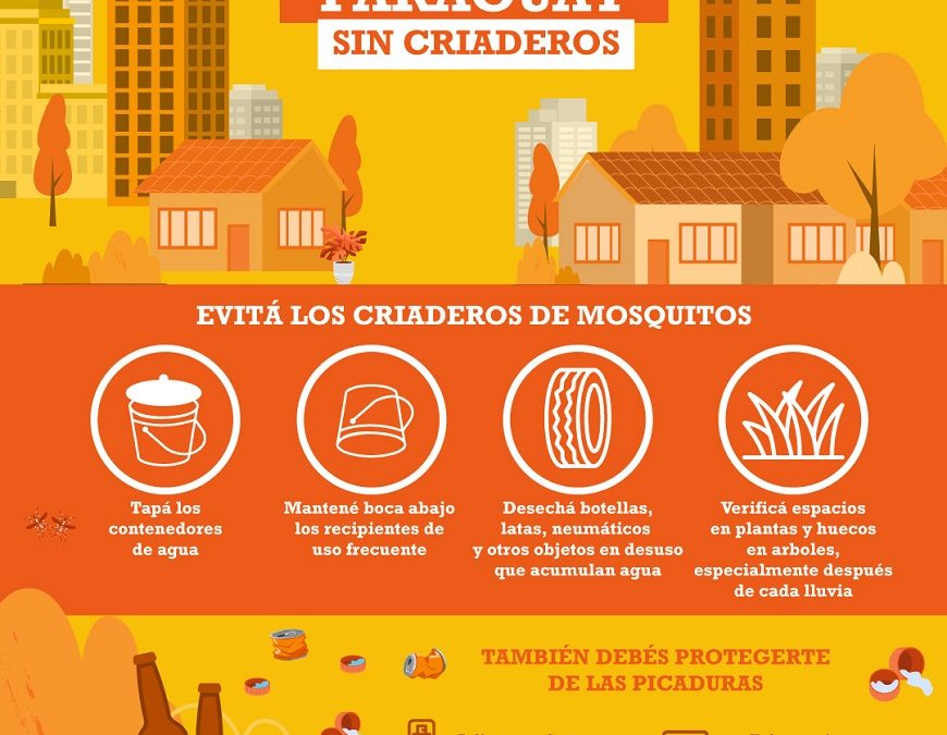 En este momento el control ambiental es prioridad, asegura epidemióloga
