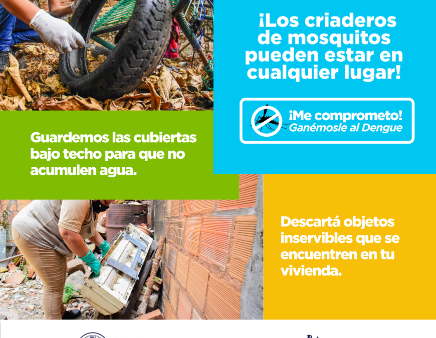 Dengue: lluvias podrían originar aumento de casos