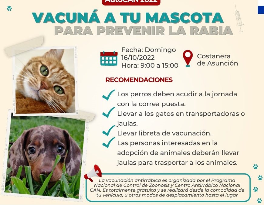 Vacunación antirrábica gratuita para mascotas, en Costanera de Asunción