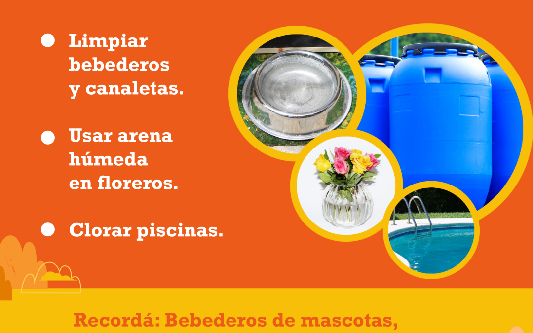 Dengue avanza: notificaciones incrementan en ocho regiones