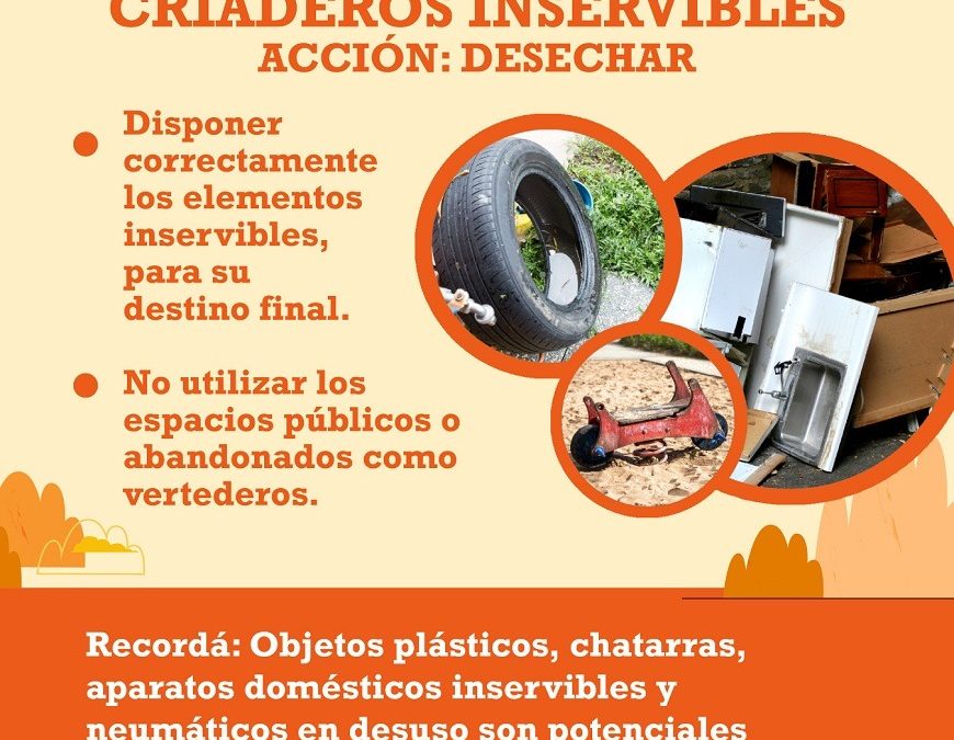 Dengue en etapa interepidémica: “Tenemos un mes de gracia para trabajar fuertemente en prevención”