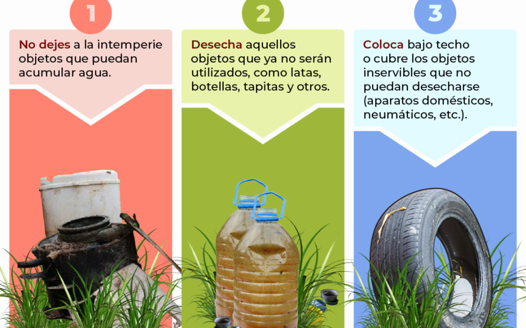 Dengue: Aumentan notificaciones en diez regiones del país