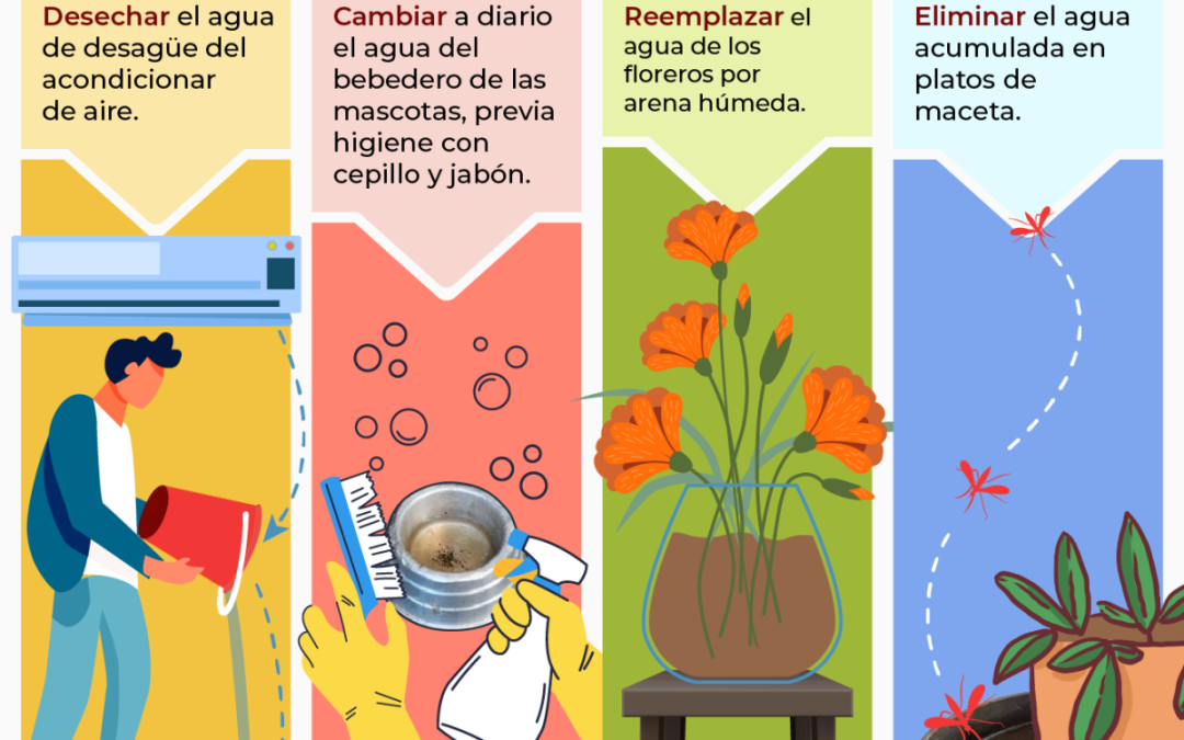 Dengue inicia periodo epidémico con aumento de notificaciones