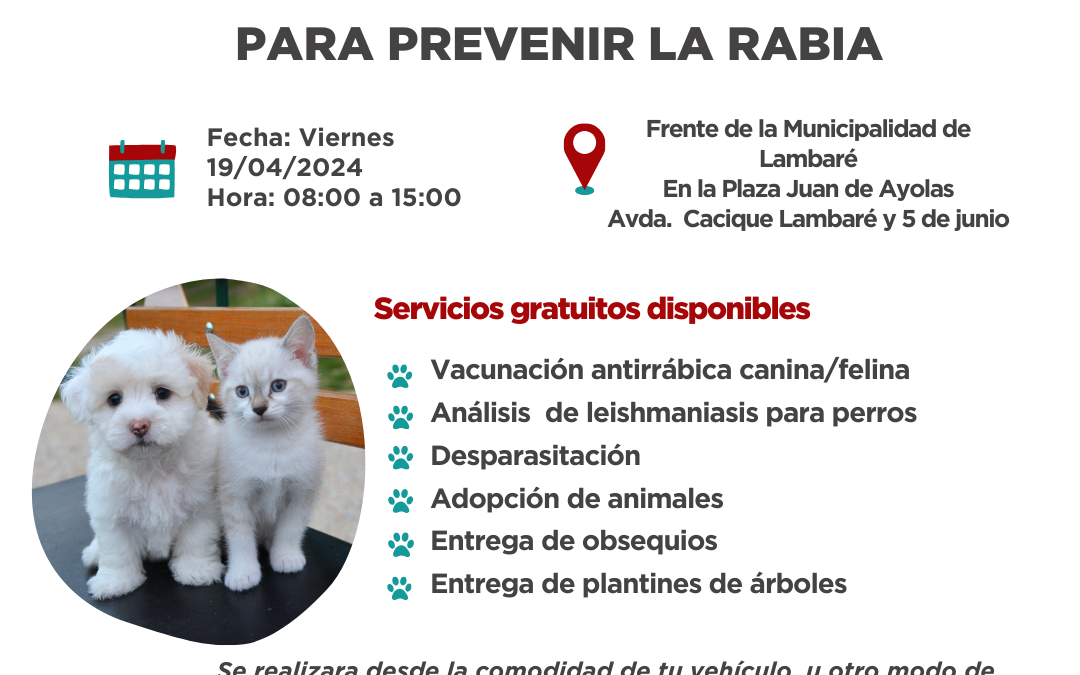 AutoCAN en Lambaré: vacunación antirrábica gratuita y otros servicios de salud para mascotas