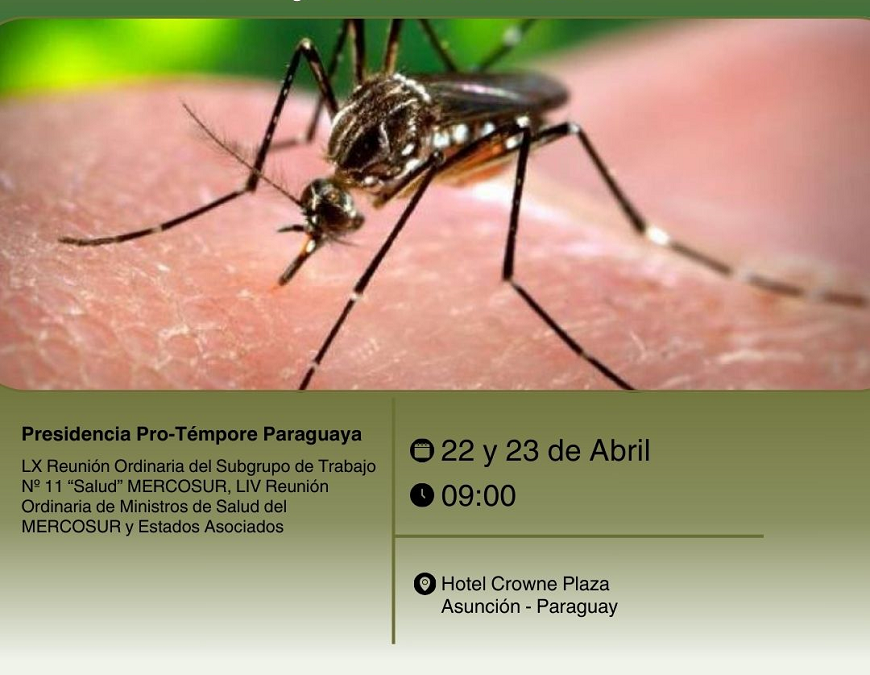 Este lunes, países del Mercosur abordarán retos sobre dengue y otras arbovirosis