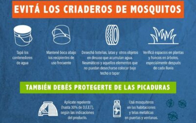 Dengue: ligero aumento de notificaciones en Amambay, Concepción y Boquerón