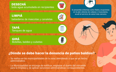 Dengue: Se mantiene tendencia al descenso, pese a ligero incremento de notificaciones en algunas regiones