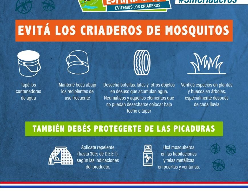 Finaliza periodo epidémico de dengue con más de 101.600 casos acumulados