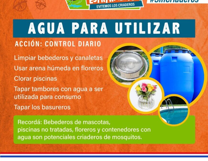 Cualquier recipiente con agua acumulada es un potencial criadero de mosquitos