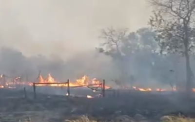 Riesgo de incendios forestales son propiciados por sequías