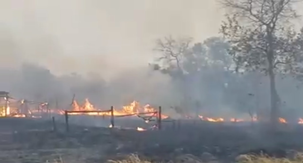 Riesgo de incendios forestales son propiciados por sequías