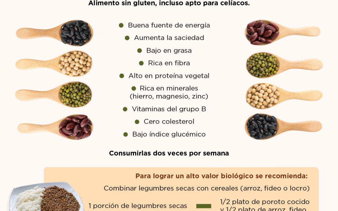 Legumbres: alimento de alto valor nutricional