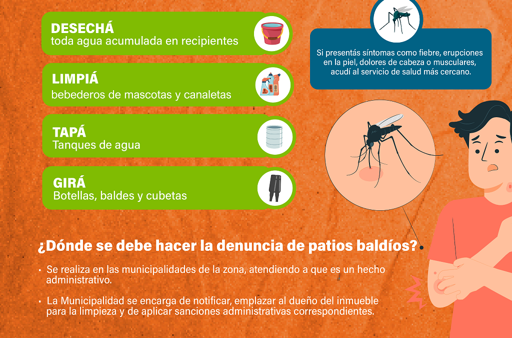 Control y eliminación de criaderos, estrategia de protección frente al dengue y otros arbovirus