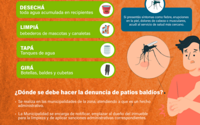 Control y eliminación de criaderos, estrategia de protección frente al dengue y otros arbovirus