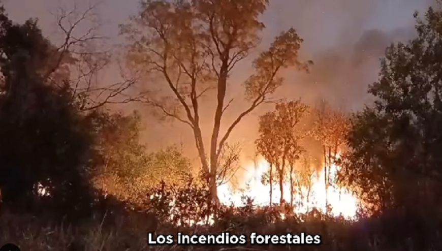 Incendios forestales potencian el riesgo cardiovascular