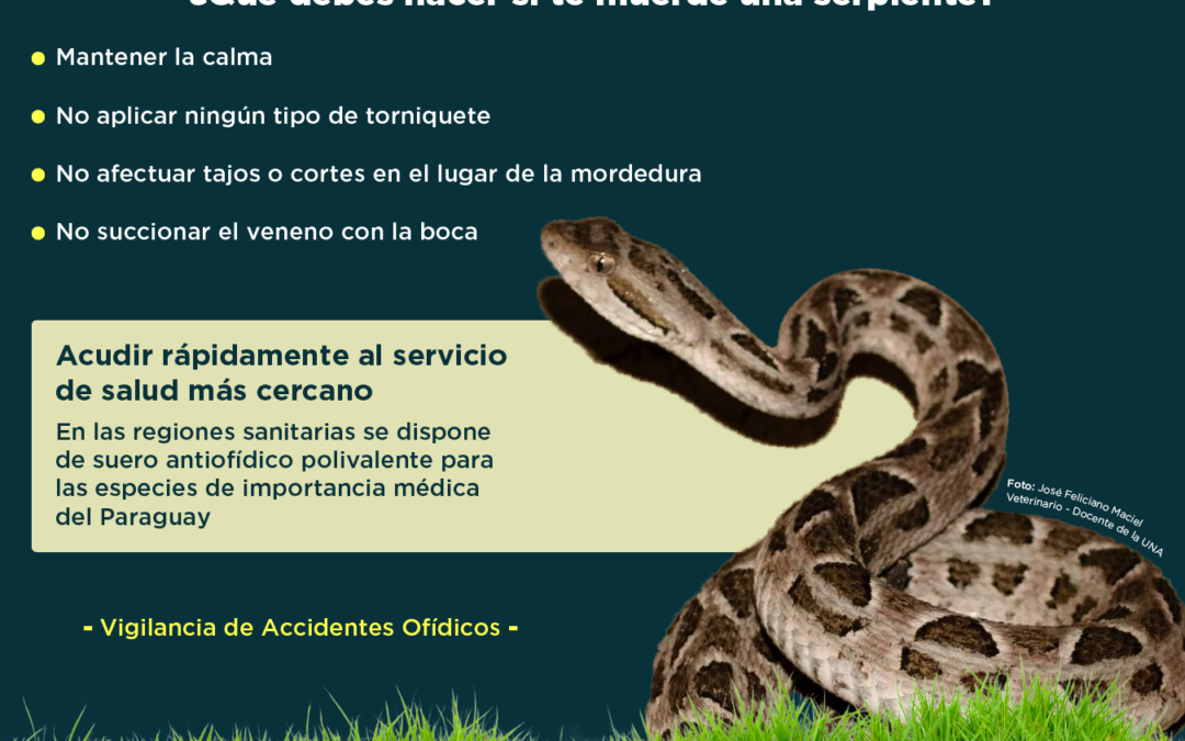 Día internacional de concienciación de la mordedura de serpiente