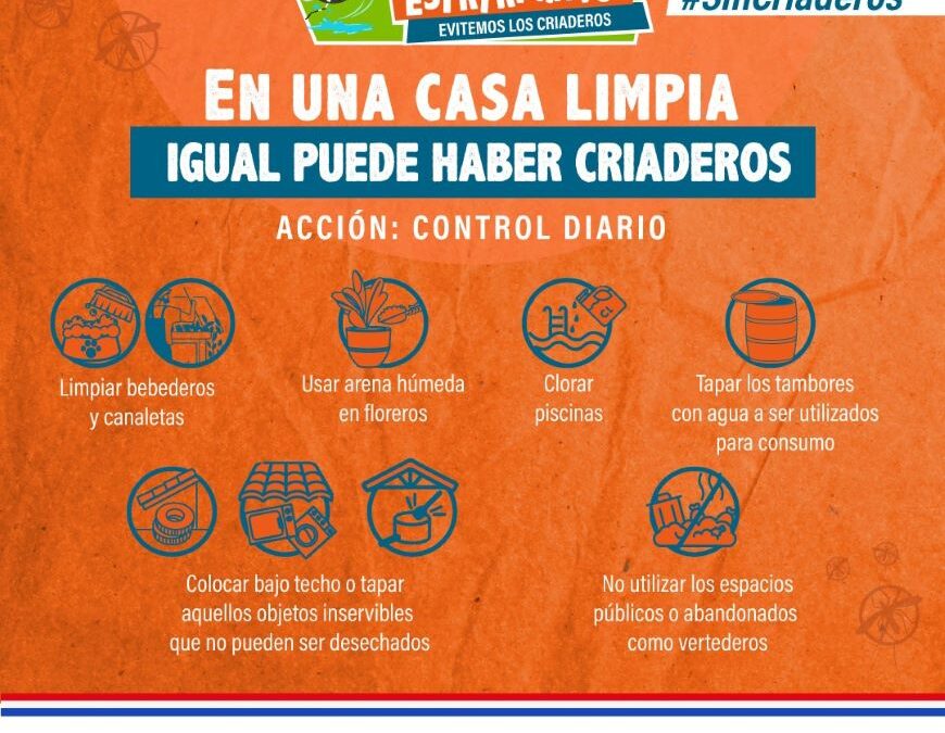 Notificaciones de dengue en paulatino crecimiento