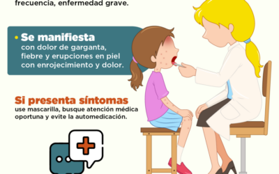 Streptococcus pyogenes: bacteria que causa infecciones respiratorias y en piel, leves a graves