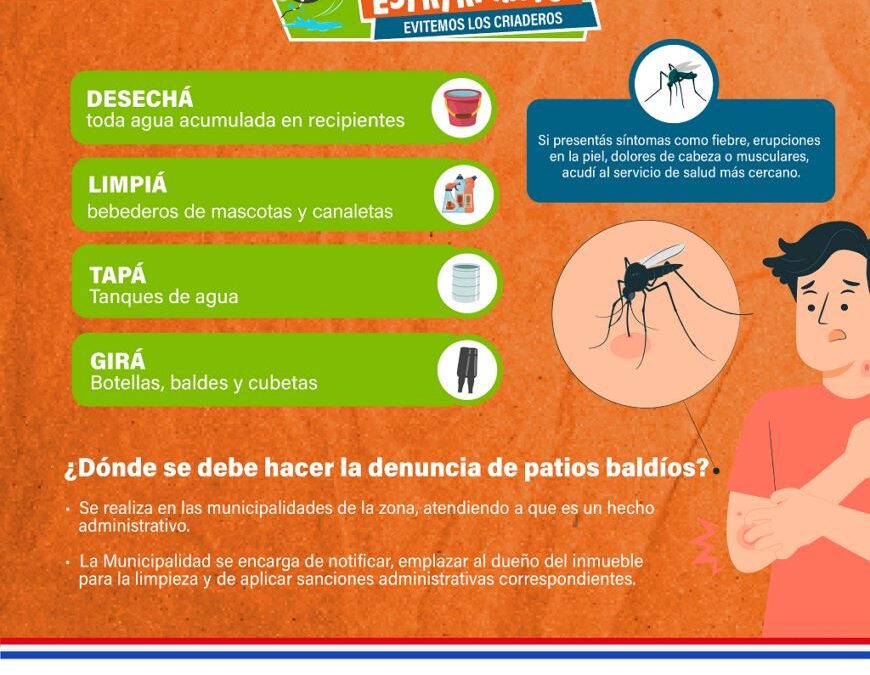 Dengue: incrementan notificaciones de sospecha, pero aún con baja circulación del virus