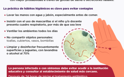 En caso de streptococccus pyogenes no es necesario cierre de escuelas o guarderías