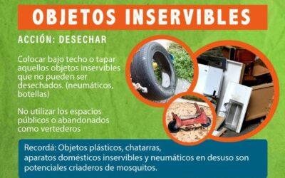 A 792 asciende la cifra de notificaciones de dengue por semana