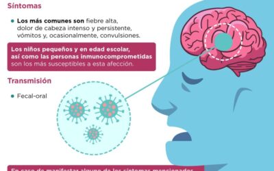 Se reporta circulación de meningoencefalitis por enterovirus: lavado de manos es clave